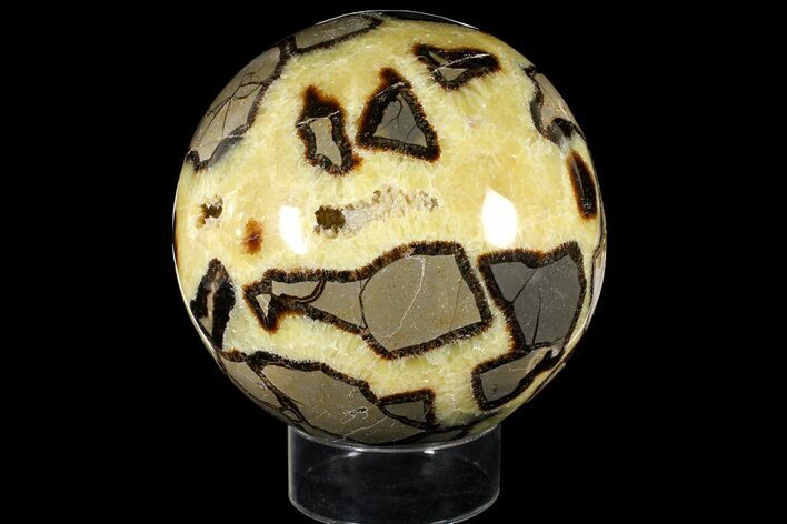 Huge, Polished Septarian Sphere ( lbs) - Madagascar #121948